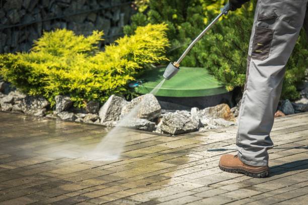 Best Animal Enclosure Cleaning  in Williamsburg, OH